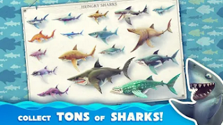 Hungry Shark World 2019 Mod Apk