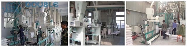How To Set Up A 50TPD Flour Mill Plant In Pakistan-Zhengzhou Double-lion factory