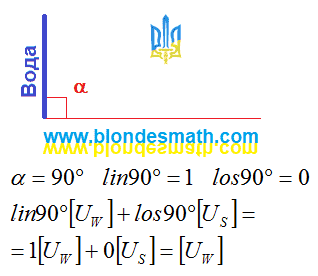 Прямой угол. Есть вода, нет салата. Борща нет. Тригонометрия борща. Математика для блондинок.