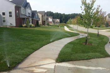 sprinkler system mosquito control