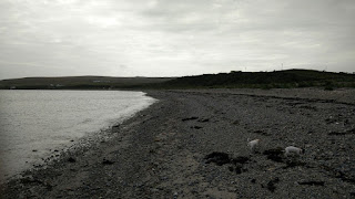 Beachcombing