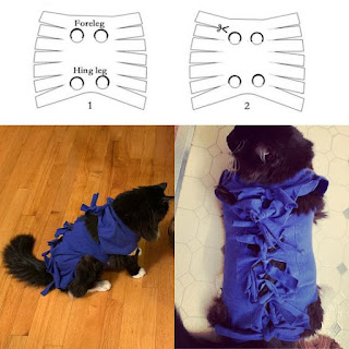 ropa para gatos