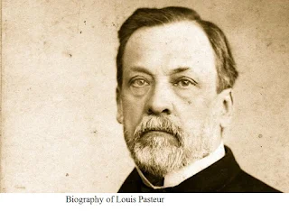 Biography of Louis Pasteur