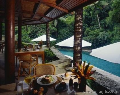 Jungle-Hotel-amarjits-com (8)