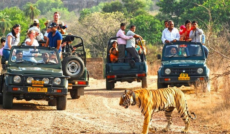 Pench National Park