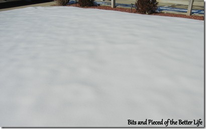 Snow cream yard