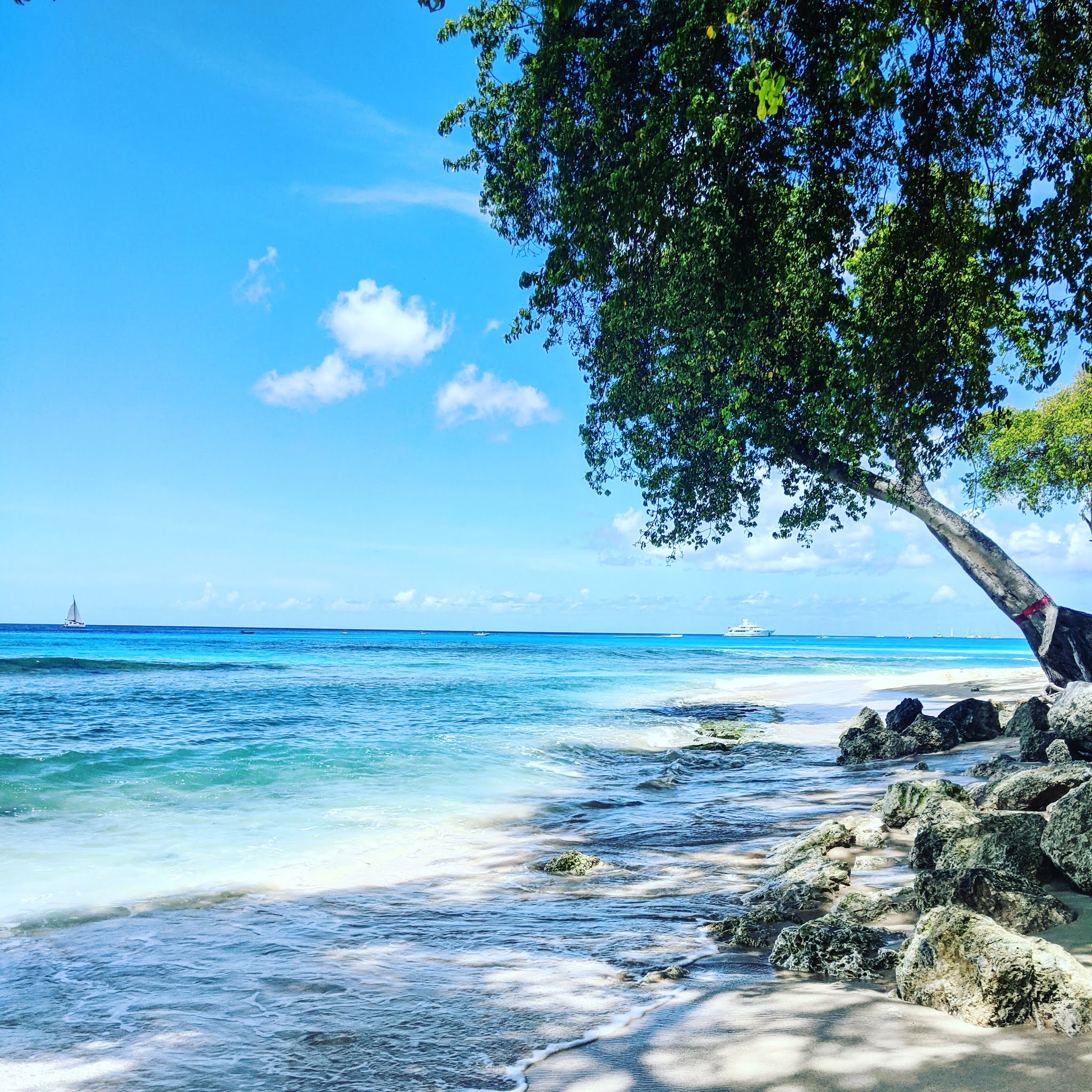 An image of the shoreline with trees on the beach surrounded by bright blue water and a little boat in the distance at paynes bay in Barbados