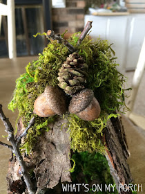 Fairy house acorns for decorations