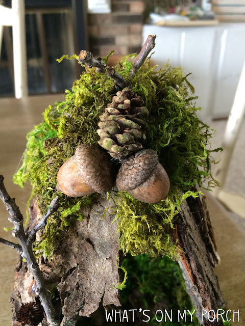 Fairy house acorns for decorations