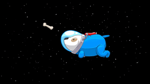 Sterne schauen, ohne zu kotzen: Warum keiner mehr Astronaut werden möchte Beruf, Komische Begebenheiten des Lebens, Lustiges, Wissen zum lachen | Die Kirche des heiligen Al Bundy 2. März 2024 8