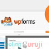 Free Download WPForms Pro v1.6.7.1 – Latest Version