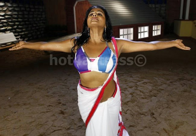 Priyamani Hot deep NAVEL