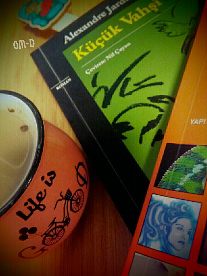 Küçük Vahşi - Alexandre Jardin - Kitap Yorumu