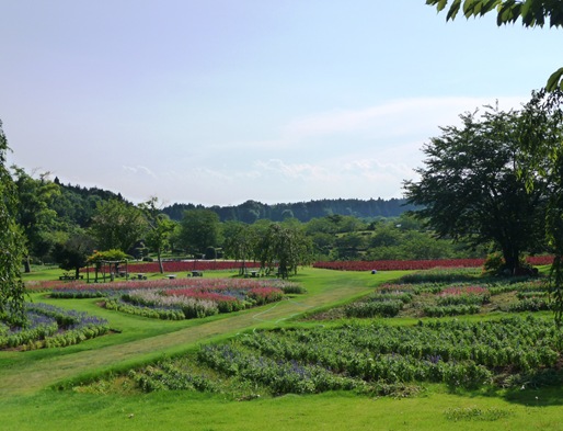 15. ushiku daibutsu jardim