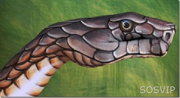 Pinturas de Dedos (14)