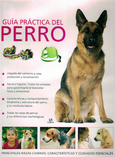 Guías Prácticas del Perro