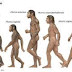 Amazing Facts About "Evolution"
