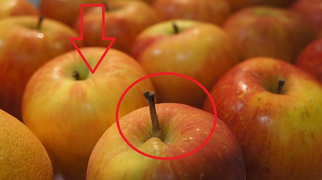 Diet sehat dengan apel