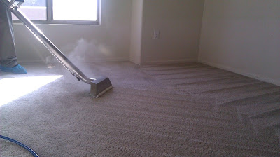 Best Carpet Steam Cleaner