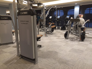 cybex equipment woodfield hoist