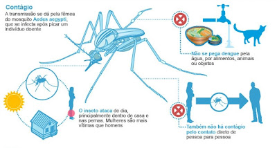 Sinais e Sintomas da Dengue