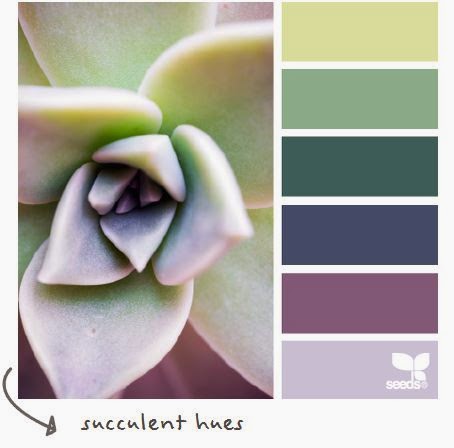 http://design-seeds.com/index.php/home/entry/succulent-hues5