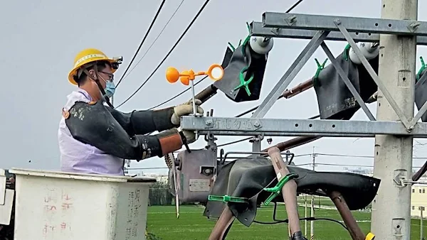 ▲台電派員巡視電力設備，若發現鳥巢就協助淨空清除，並加裝驅鳥器，避免鳥類再次築巢或棲息。（台電彰化區營業處提供）