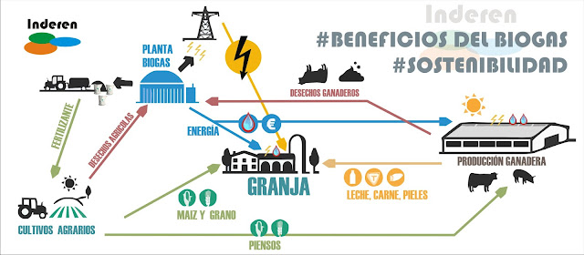 Sostenibilidad del proceso de biogas