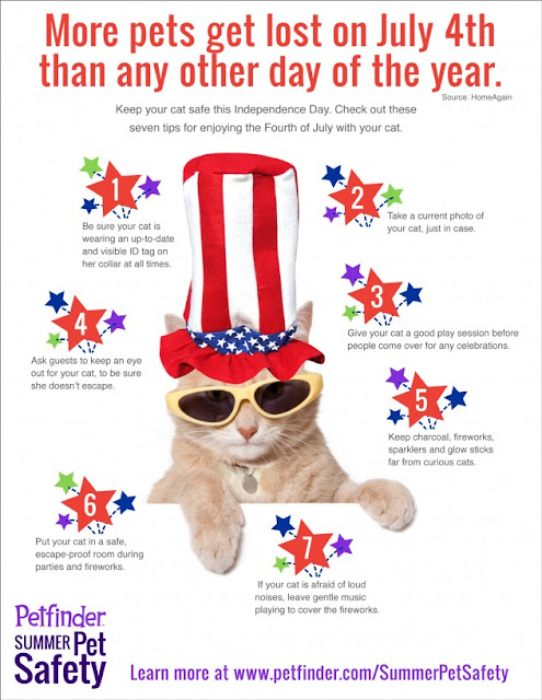 Independence Day Mewsings By The Cat
