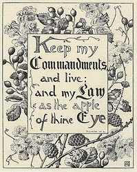 Keep My Commands