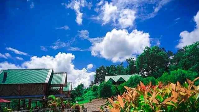 RHINO ECO RESORT in Udalguri District, Assam BTAD(BTR). उदालगुरि जिल्लायाव गंसे समायना  RESORT बानायदों, Resturants of Refreshment and picnic place.