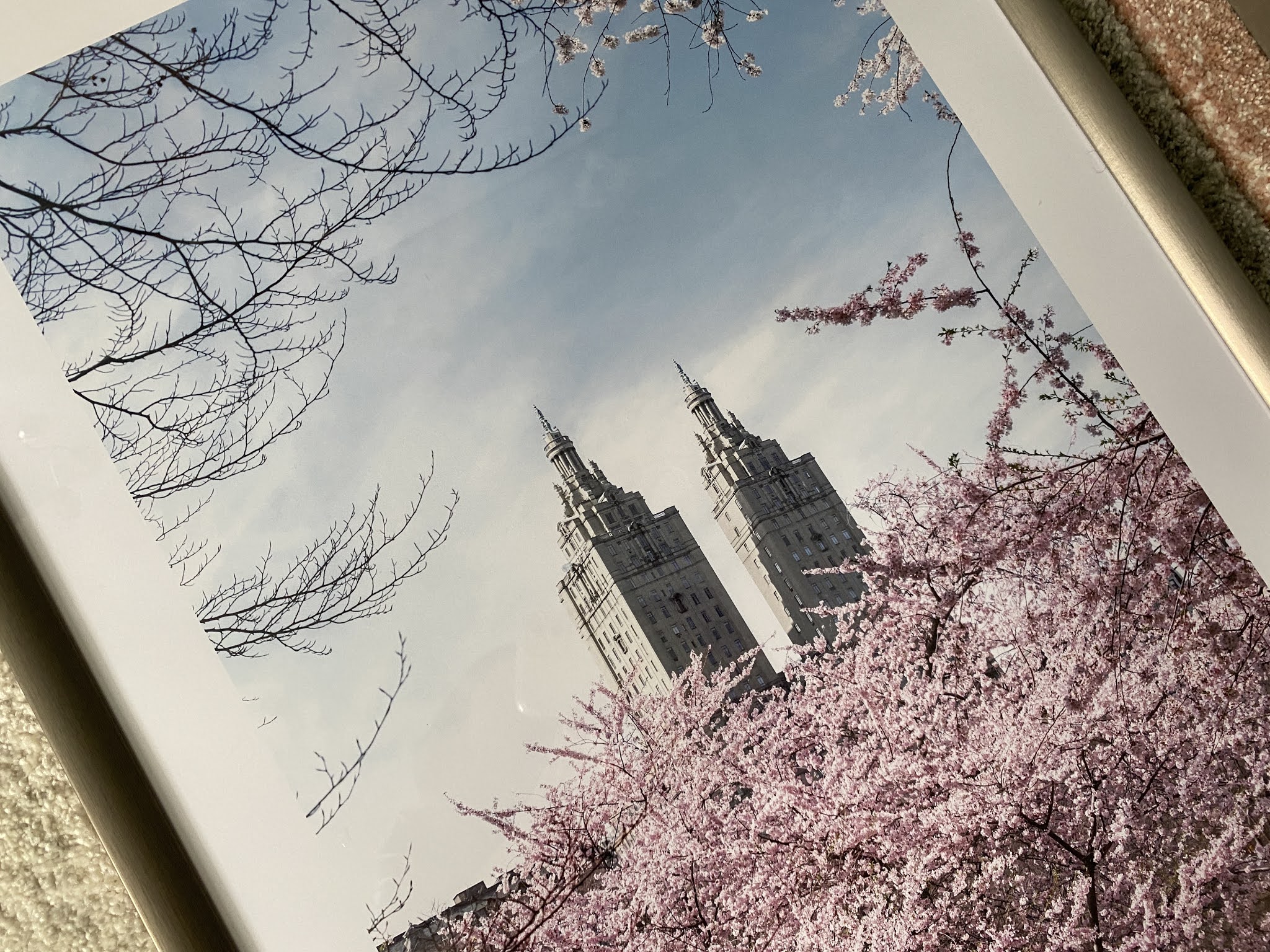 New York in Bloom