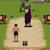 Gladiator Cricket 240x400 java game Download for Nokia Asha 501 305 306 308 309 310 311 full touchscreen Smartphones