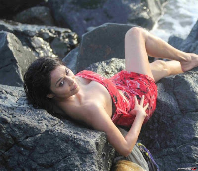 Nikita Rawal Hot Beach Photoshoot