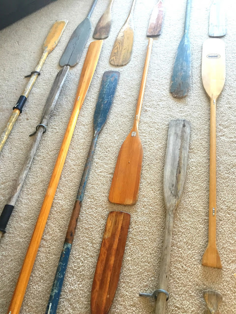 A collection of oars--ready to go on the wall!