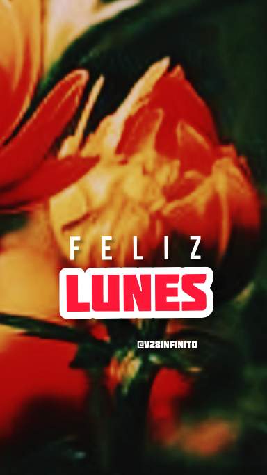 Imágenes Feliz lunes para el estado de WhatsApp 