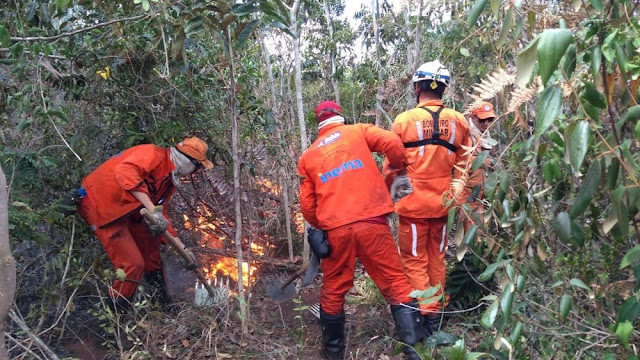 Brigadistas combatem as chamas na Serra da Tromba — Foto: Divulgação/Corpo de Bombeiros