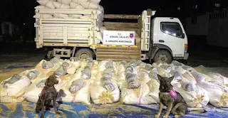 الأمن التركي يضبط 330 كغ من الماريجونا في شاحنة أعلاف