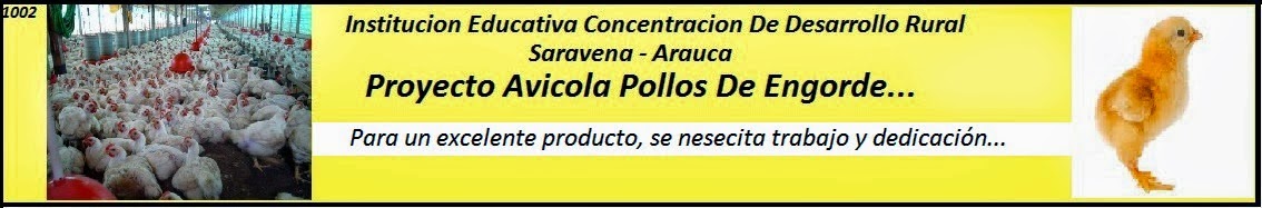 Proyecto Productivo Avicola De Pollos De Engorde  