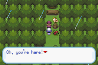 Pokemon Shiny Jewel Screenshot 06