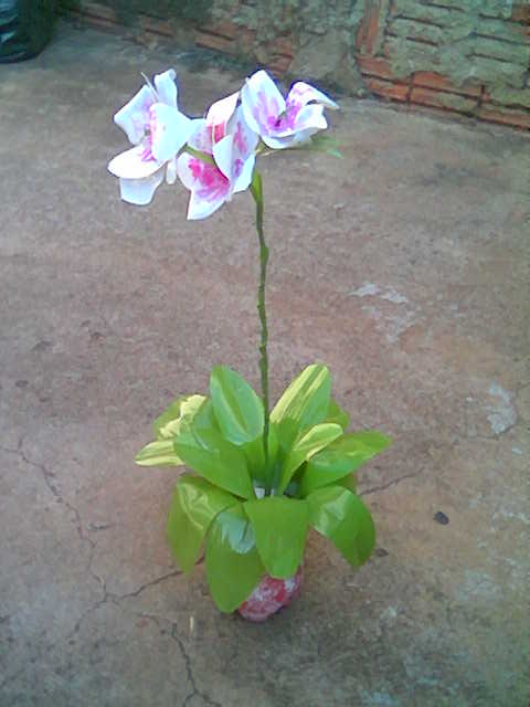 Orquídea de garrafas pet