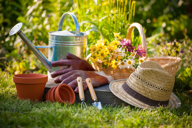 The Best Gardening Tools