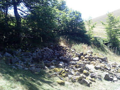 St. James Way: from St Jean Pied de Port to Roncesvalles / El Camino Francés por los Pirineos a Roncesvalles / Fotos do Camiño por Roncesvalles