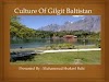 Gilgit Baltistan's culture