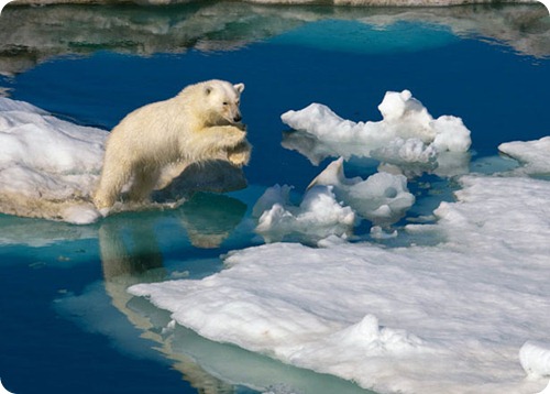 svalbard5
