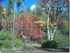 Burney Falls, )oct 2010 058