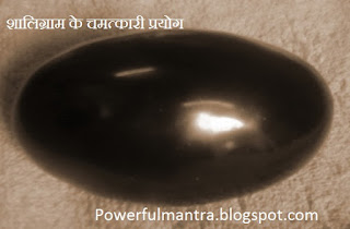 Shaligram Benefits,  शालिग्राम के प्रयोग 