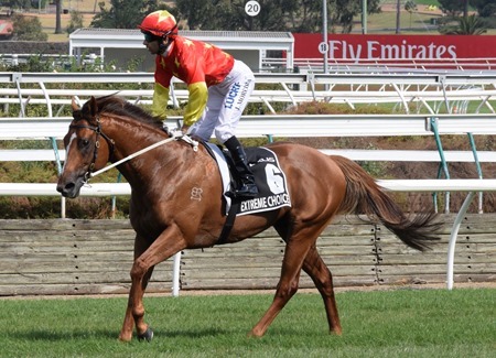 newmarket_extreme choice 3 newmarket_extreme choice 3