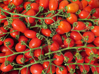 How To Grow Cherry Tomatoes