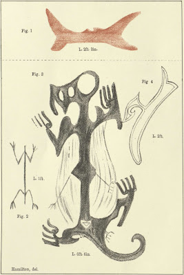 new zealand Rock Pictographs